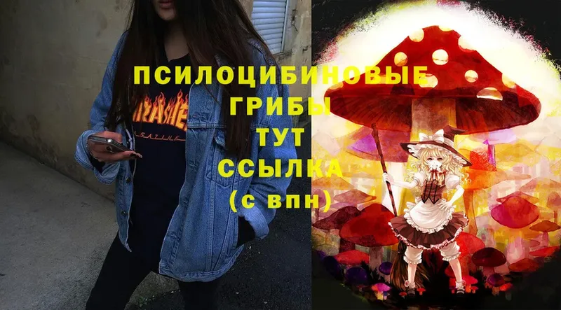 Галлюциногенные грибы Magic Shrooms  хочу   Пыталово 